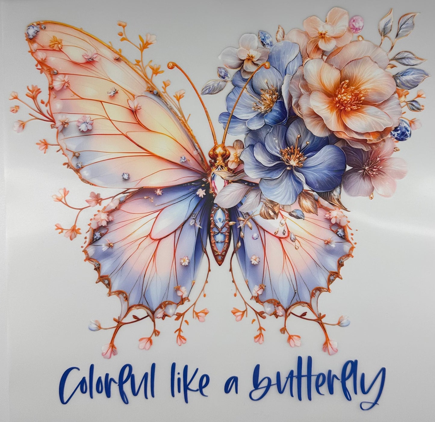 Colorful like a Butterfly