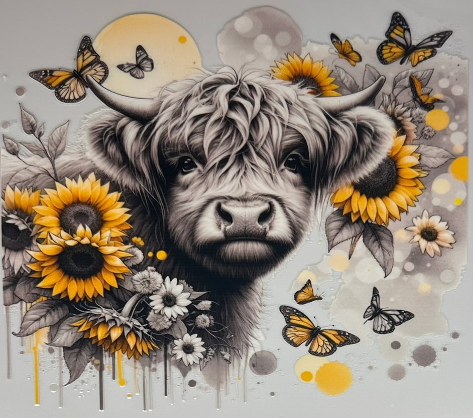 Sunflower Beauty