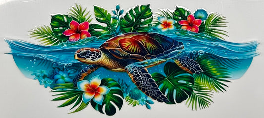 Sea Turtle Beauty