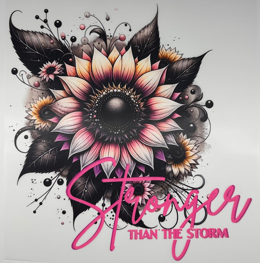 Stronger than the Storm
