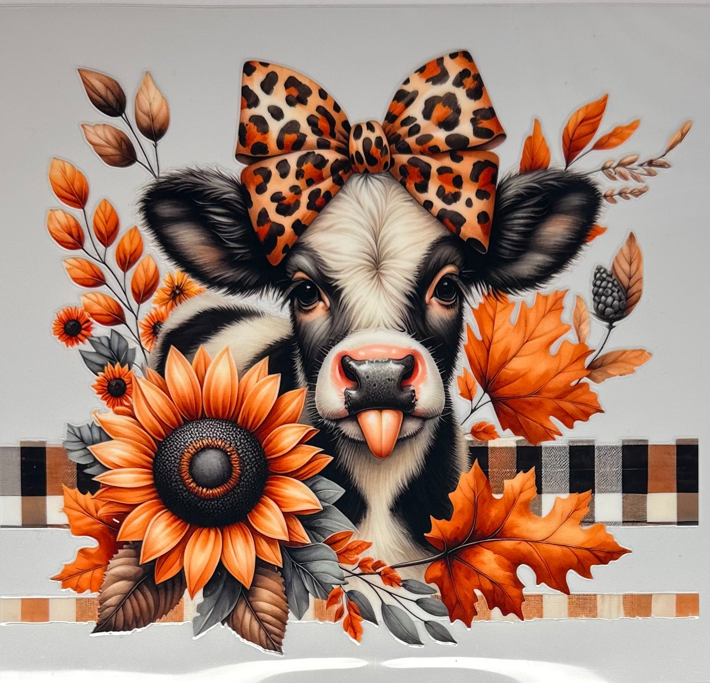 Sassy Cow